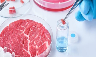 Лабораторный анализ пищевых продуктов по СанПиН в Люберцах в октябре