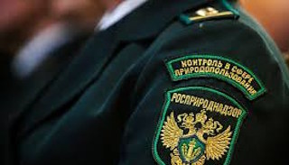 Подготовка к проверке Росприроднадзора в Люберцах от ПромМир-Люб, стоимость услуги от 21042 руб.